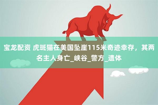 宝龙配资 虎斑猫在美国坠崖115米奇迹幸存，其两名主人身亡_峡谷_警方_遗体