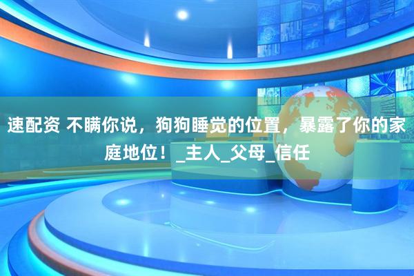 速配资 不瞒你说，狗狗睡觉的位置，暴露了你的家庭地位！_主人_父母_信任