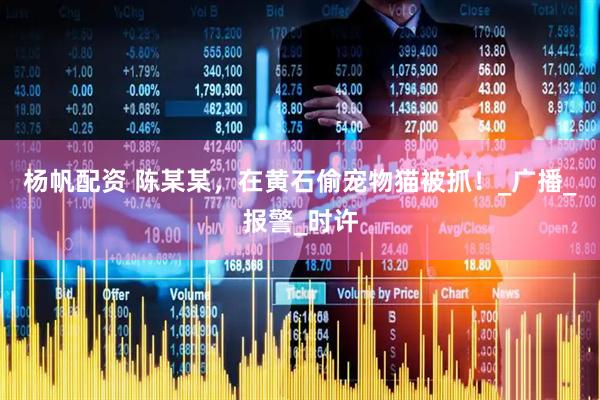 杨帆配资 陈某某，在黄石偷宠物猫被抓！_广播_报警_时许