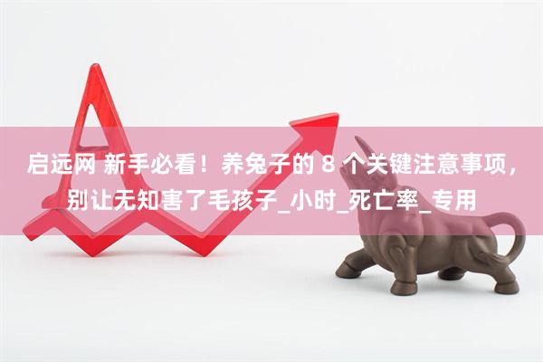启远网 新手必看！养兔子的 8 个关键注意事项，别让无知害了毛孩子_小时_死亡率_专用