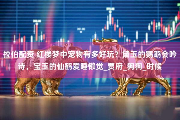 拉伯配资 红楼梦中宠物有多好玩？黛玉的鹦鹉会吟诗，宝玉的仙鹤爱睡懒觉_贾府_狗狗_时候