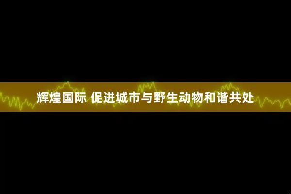 辉煌国际 促进城市与野生动物和谐共处