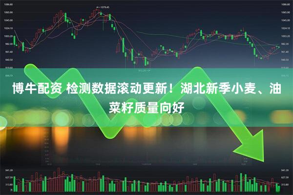 博牛配资 检测数据滚动更新！湖北新季小麦、油菜籽质量向好
