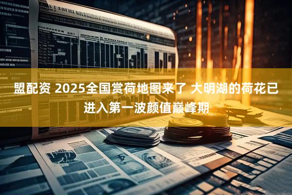 盟配资 2025全国赏荷地图来了 大明湖的荷花已进入第一波颜值巅峰期