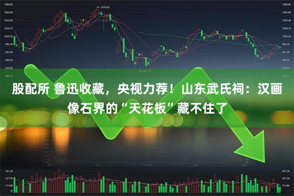 股配所 鲁迅收藏，央视力荐！山东武氏祠：汉画像石界的“天花板”藏不住了