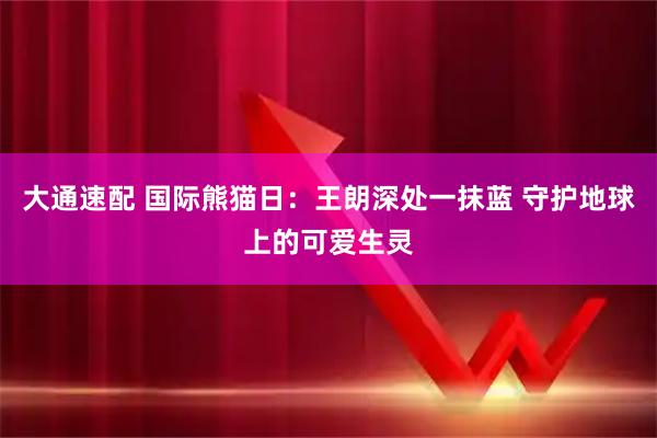 大通速配 国际熊猫日：王朗深处一抹蓝 守护地球上的可爱生灵