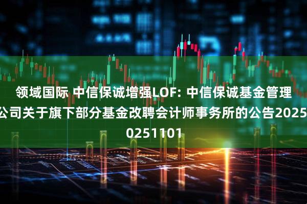 领域国际 中信保诚增强LOF: 中信保诚基金管理有限公司关于旗下部分基金改聘会计师事务所的公告20251101