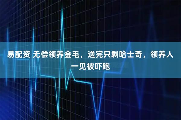 易配资 无偿领养金毛，送完只剩哈士奇，领养人一见被吓跑