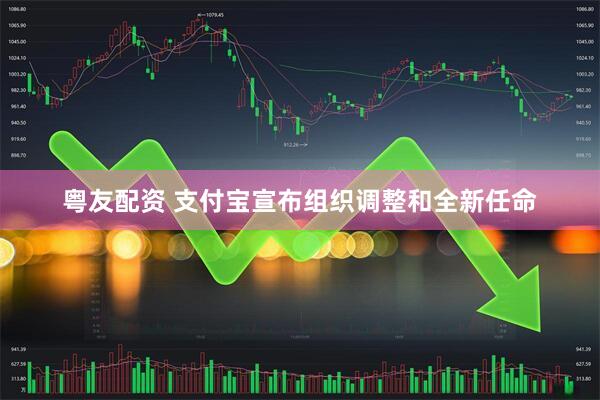 粤友配资 支付宝宣布组织调整和全新任命